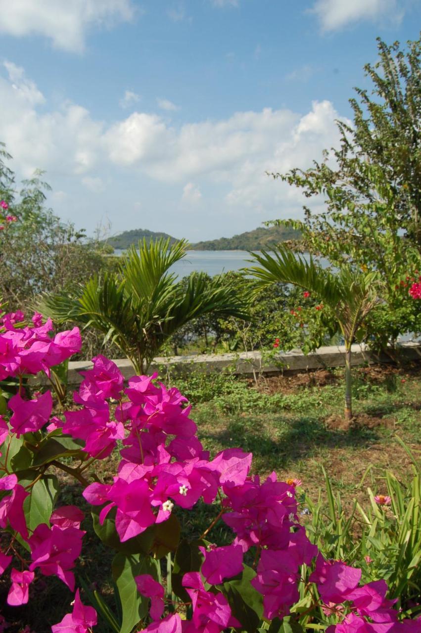 Lombok Villas, Villa Paopao Labuhanpoh Eksteriør billede